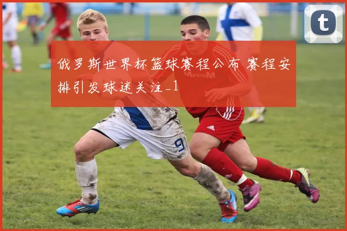 俄罗斯世界杯篮球赛程公布 赛程安排引发球迷关注_1