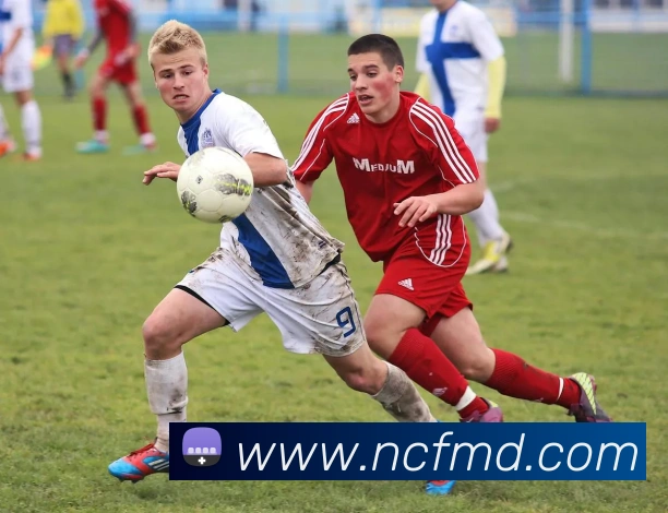 K1体育十年品牌值得信赖官网入口APP 体育赛事宣传图